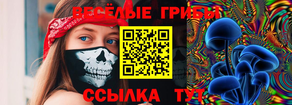 Галлюциногенные грибы прущие грибы Белорецк