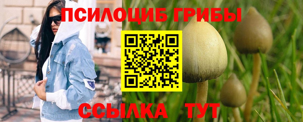 Белорецк  Галлюциногенные грибы прущие грибы  Вход с VPN  Галлюциногенные грибы Psilocybine cubensis 