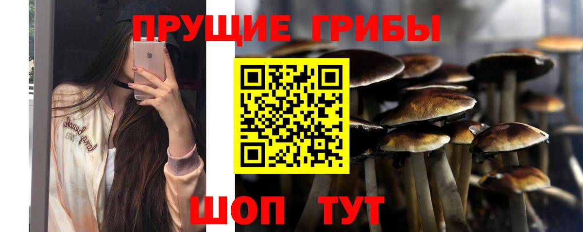 Галлюциногенные грибы ЛСД Белорецк